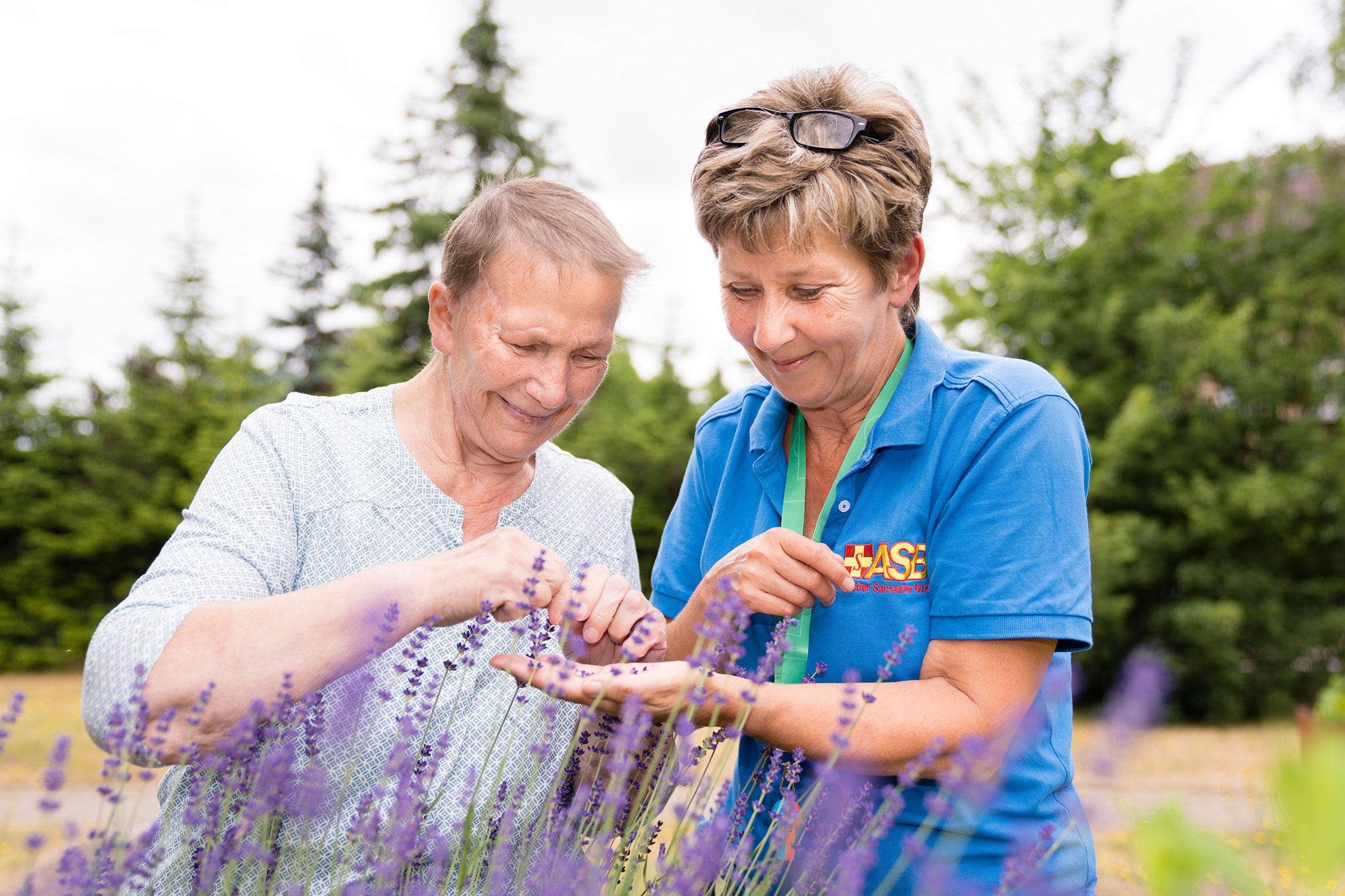 demenz-lavendel.jpg